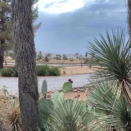 Private Ranch By Joshua Tree National Park And Pioneertown Apartment Yucca Valley Exterior photo
