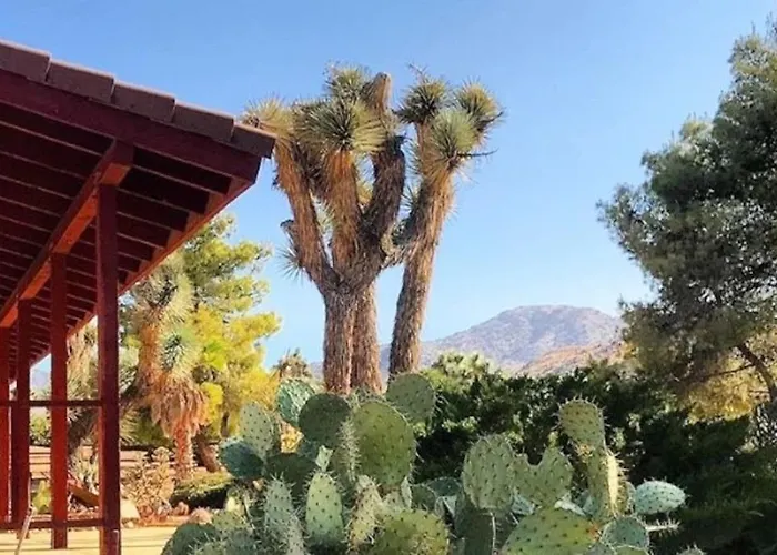 Private Ranch By Joshua Tree National Park And Pioneertown