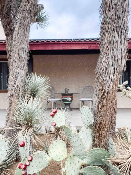 Private Ranch By Joshua Tree National Park And Pioneertown Apartment *