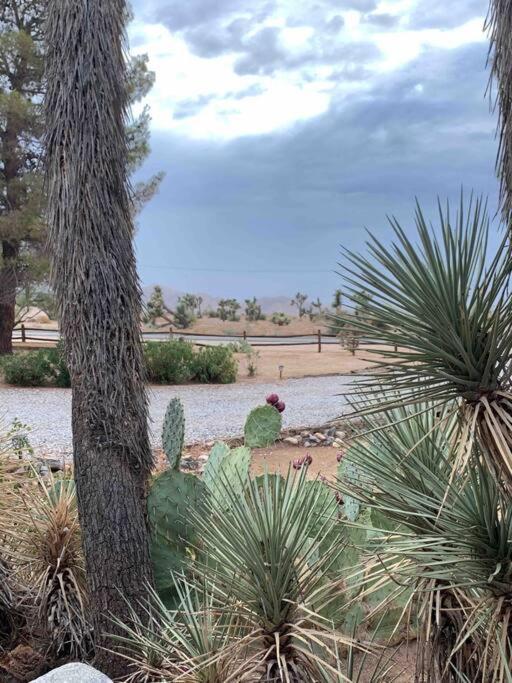 Apartment Private Ranch By Joshua Tree National Park And Pioneertown Yucca Valley