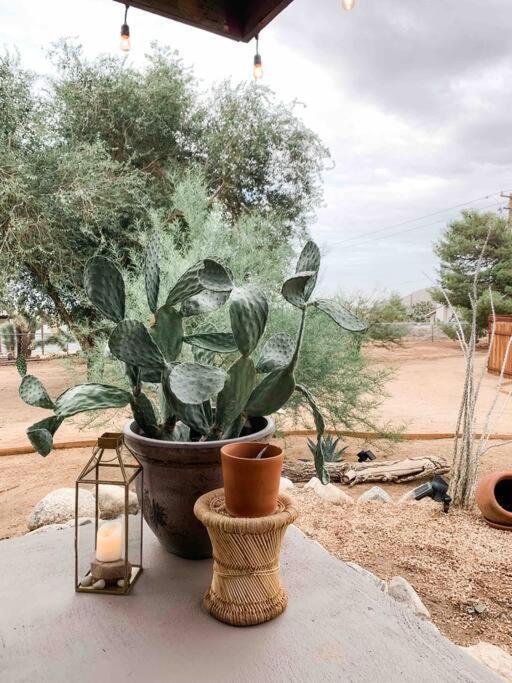 Private Ranch By Joshua Tree National Park And Pioneertown Yucca Valley