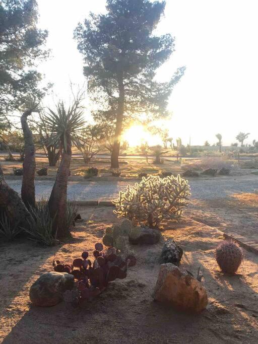 Private Ranch By Joshua Tree National Park And Pioneertown Apartment