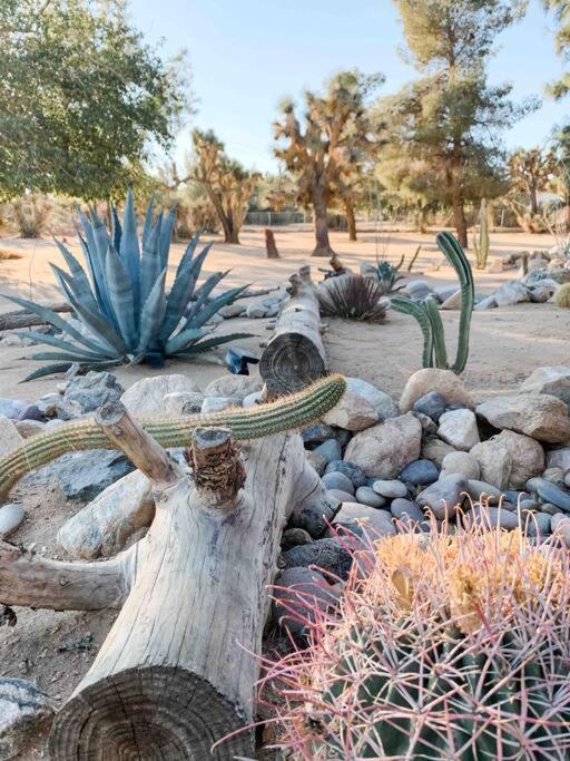 Apartment Private Ranch By Joshua Tree National Park And Pioneertown