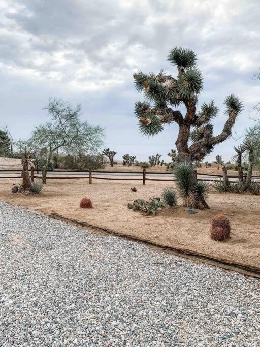 Private Ranch By Joshua Tree National Park And Pioneertown Apartment *