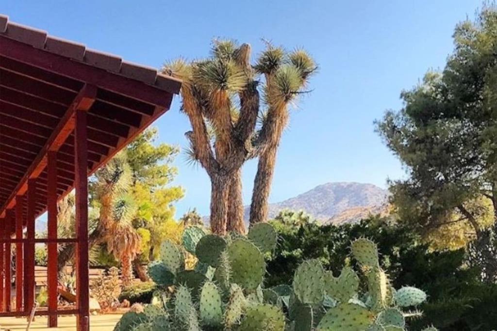 Private Ranch By Joshua Tree National Park And Pioneertown Yucca Valley