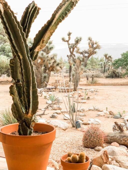 Private Ranch By Joshua Tree National Park And Pioneertown Apartment